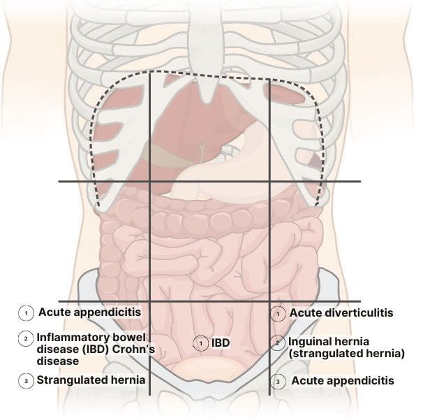 abdominal bottom regions