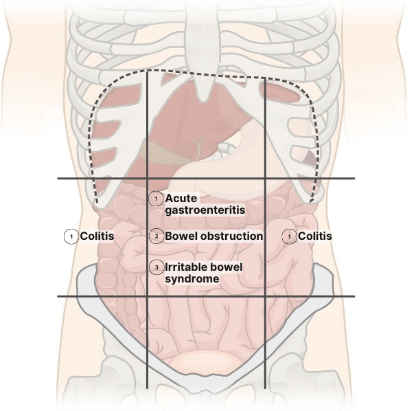 abdominal middle regions