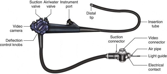 image showing Endoscopy Equipments with details. endoscopy tool with details.